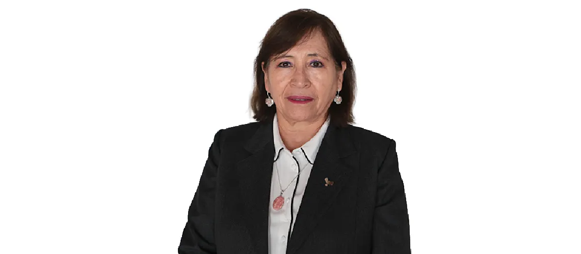 Dra. Ing. Rosaura Torre Rueda