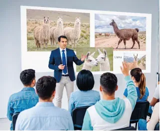 Charla: Cadena Productiva de la Alpaca en la Región de Cusco