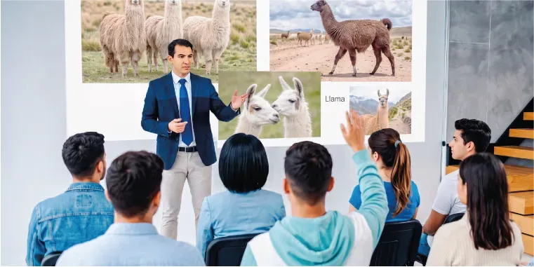 Charla: Cadena Productiva de la Alpaca en la Región de Cusco