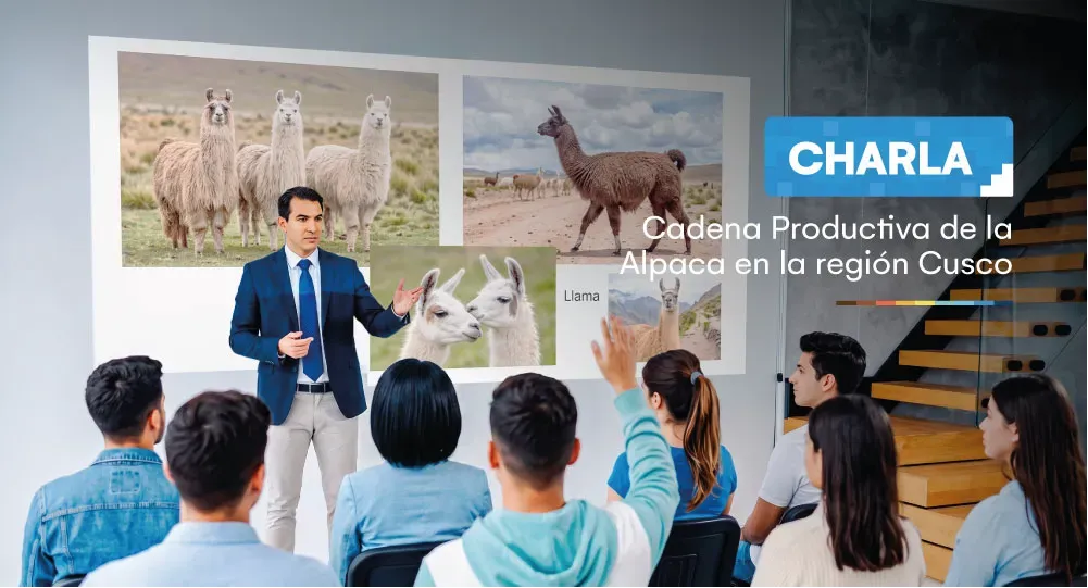 Charla: Cadena Productiva de la Alpaca en la Región de Cusco