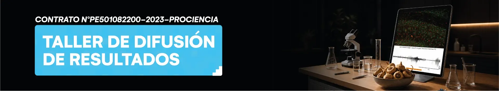 Taller de difusión de resultados
