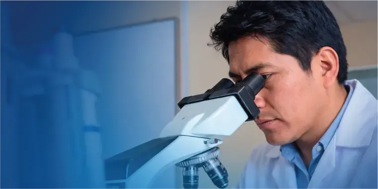 Capacitación docente en el uso del microscopio