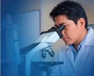 Capacitación docente en el uso del microscopio