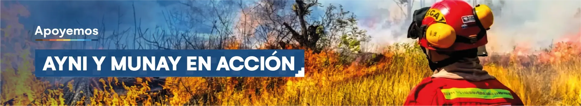 Ayni y Munay en acción: Unidos por quienes protegen nuestros bosques