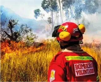 Ayni y Munay en acción: Unidos por quienes protegen nuestros bosques