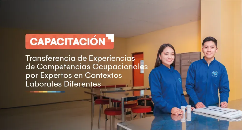 Capacitación: Transferencia de experiencias de competencias ocupacionales por expertos en contextos laborales diferentes
