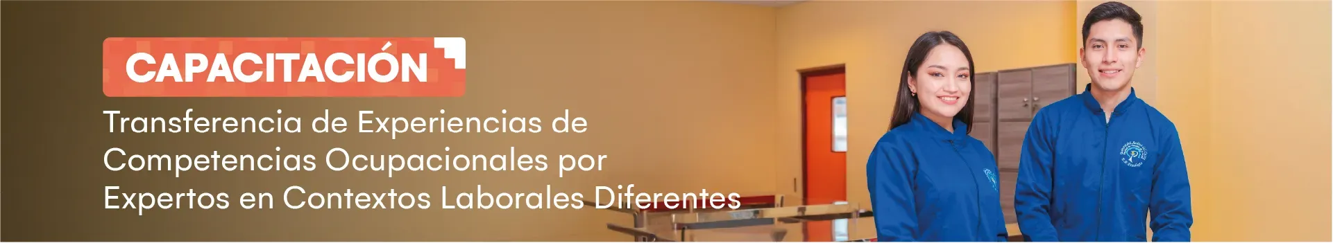 Capacitación: Transferencia de experiencias de competencias ocupacionales por expertos en contextos laborales diferentes
