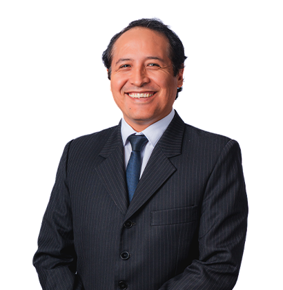 LUIS RICARDO CASTRO MUJICA
