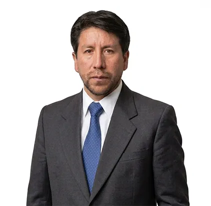 LUIS ENRIQUE DEL CARPIO CUENTAS