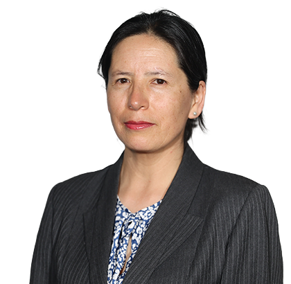 KARINA DEL CASTILLO PARDO