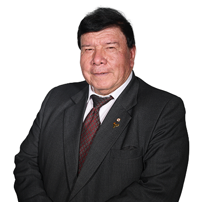 WILFREDO GAMARRA VILLANUEVA