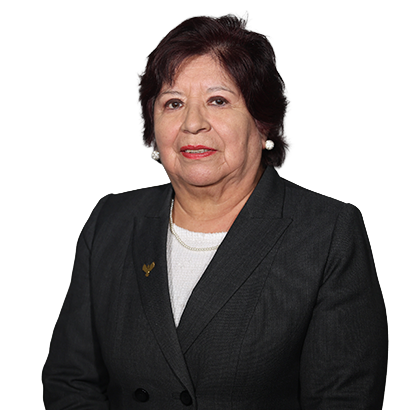 NERY PORCEL GUZMAN