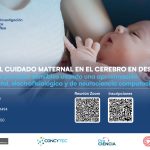 Impacto del cuidado maternal en el cerebro en desarrollo